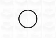 Помпа водяна GRAF купить