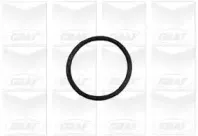 Помпа водяна GRAF купить