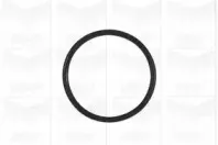 Водяной насос GRAF купить