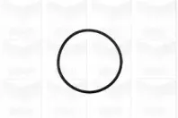 Водяной насос GRAF купить