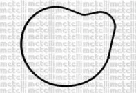 Водяной насос CIFAM купить