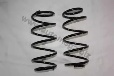 Пружина ходовой части AUTOMEGA купить