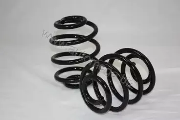 Пружина ходовой части AUTOMEGA купить