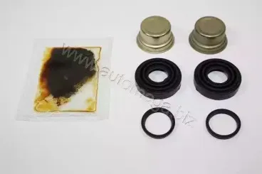 Комплект направляющей гильзы AUTOMEGA купить