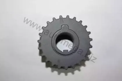 Шестерня, коленчатый вал AUTOMEGA купить