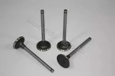 Впускной клапан AUTOMEGA купить