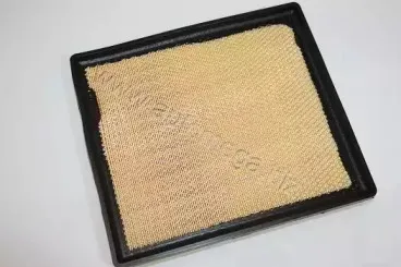 Воздушный фильтр AUTOMEGA купить