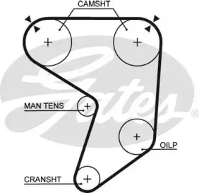 Ремень ГРМ GATES купить