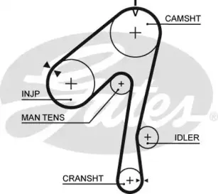 Ремінь зубчастий (довж. 60-150) GATES купить