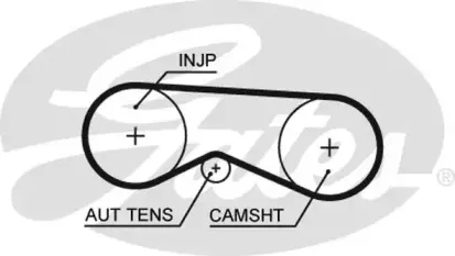 5531XS (8597-15531)  Ремінь ГРМ GATES XS GATES купить