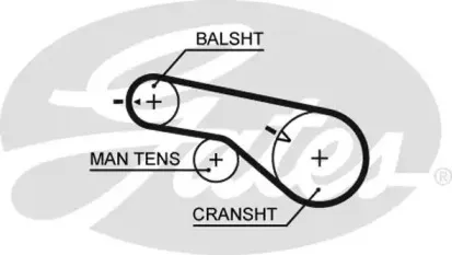 Ремінь зубчастий (довж. 60-150) GATES купить