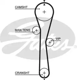 Ремінь распредвала 5577XS GATES купить