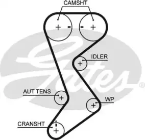 Ремінь зубчастий (довж. 60-150) GATES купить