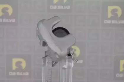 Тормозной суппорт DA SILVA купить