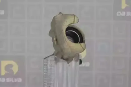 Тормозной суппорт DA SILVA купить