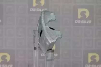 Тормозной суппорт DA SILVA купить