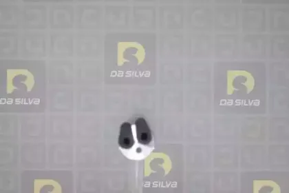 Осушитель, кондиционер DA SILVA купить