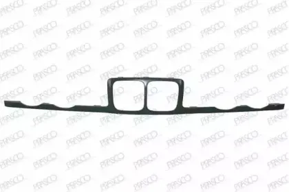 Рамка, облицовка радиатора PRASCO купить