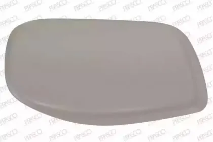 Покрытие, внешнее зеркало PRASCO купить