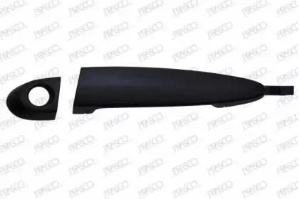 Ручка двери PRASCO купить