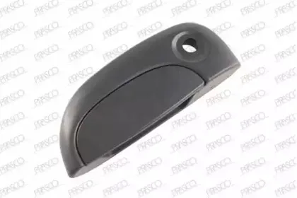 Ручка двери PRASCO купить