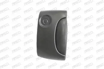 Ручка двери PRASCO купить