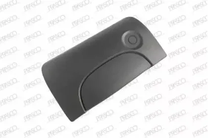 Ручка двери PRASCO купить