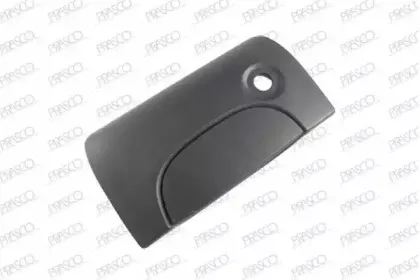 Ручка двери PRASCO купить