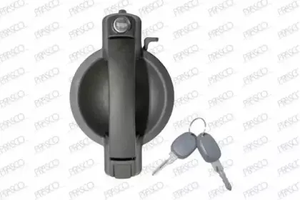 Ручка двери PRASCO купить