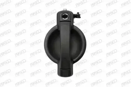 Ручка двери PRASCO купить