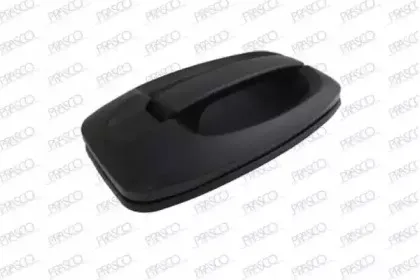 Ручка двери PRASCO купить