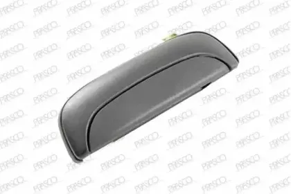 Ручка двери PRASCO купить