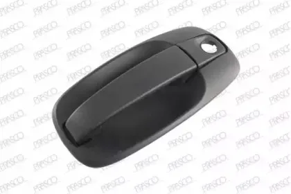 Ручка двери PRASCO купить