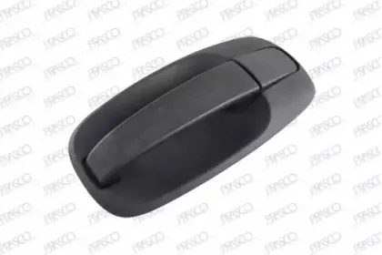 Ручка двери PRASCO купить