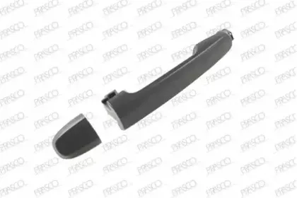 Ручка двери PRASCO купить