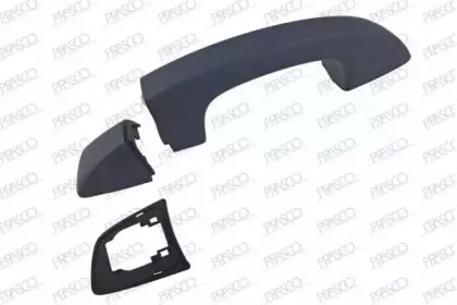 Ручка двери PRASCO купить