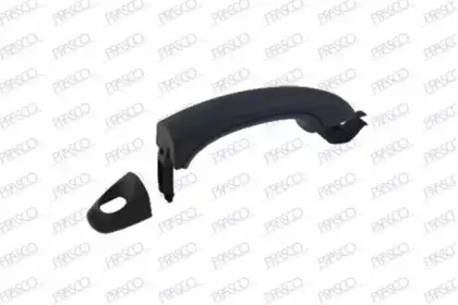 Ручка двери PRASCO купить