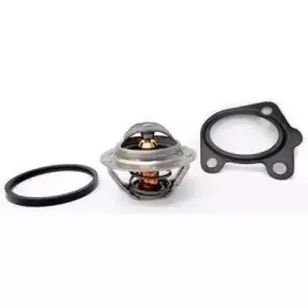 Термостат, охлаждающая жидкость HOFFER купить