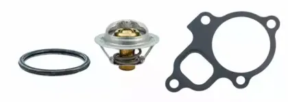 Термостат, охлаждающая жидкость HOFFER купить