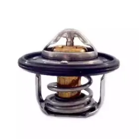 Термостат, охлаждающая жидкость HOFFER купить