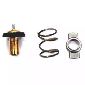 Термостат, охлаждающая жидкость HOFFER купить