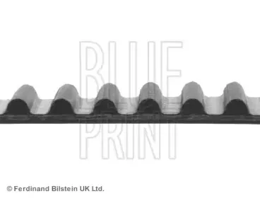 Ремень ГРМ BLUE PRINT купить