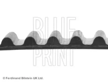 Ремень ГРМ BLUE PRINT купить