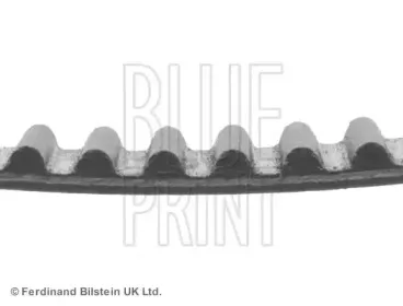 Ремень ГРМ BLUE PRINT купить