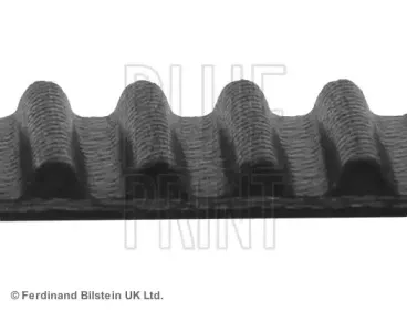 Ремень ГРМ BLUE PRINT купить