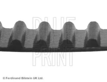 Ремень ГРМ BLUE PRINT купить