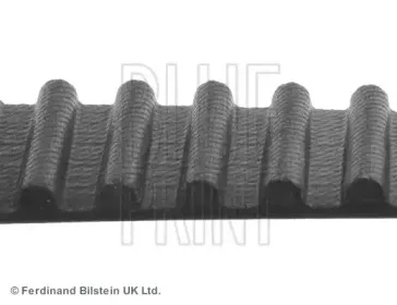 Ремень ГРМ BLUE PRINT купить