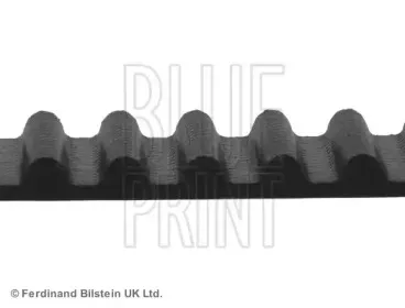 Ремень ГРМ BLUE PRINT купить