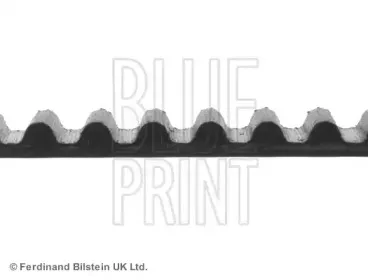 Ремень ГРМ BLUE PRINT купить