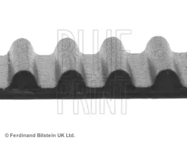 Ремень ГРМ BLUE PRINT купить
